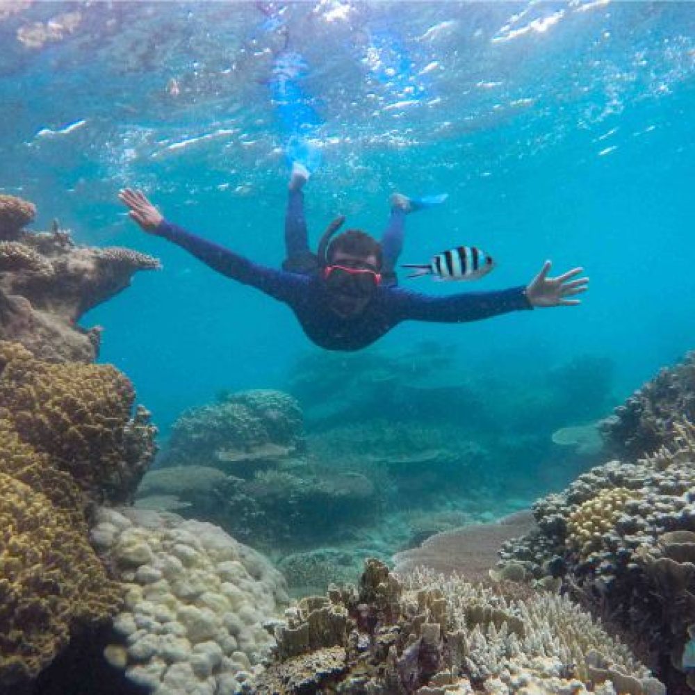 Snorkling-1