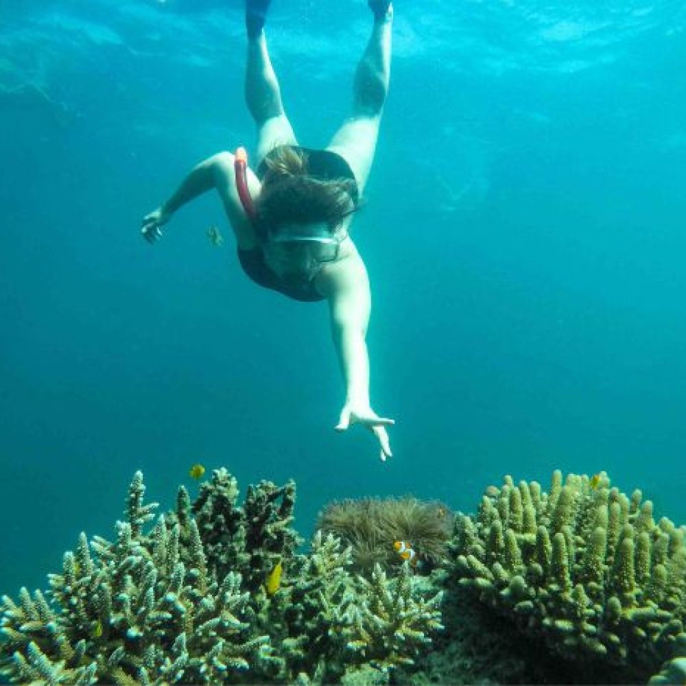 Snorkling-2