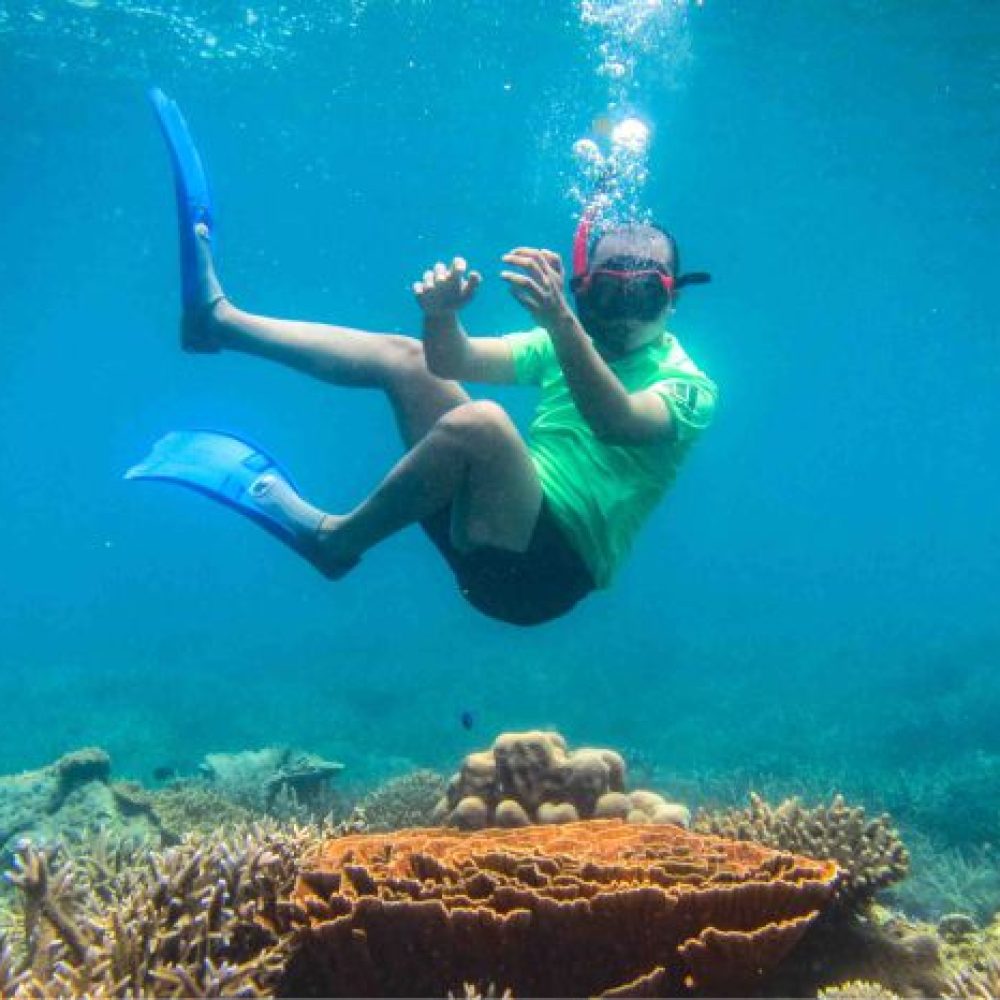 Snorkling-3