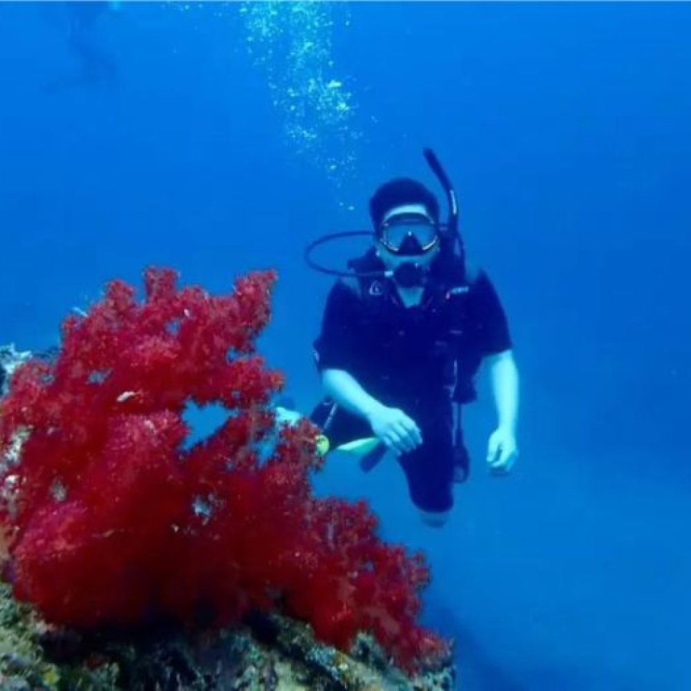 paket-diving-nautika-tour-travel-karimunjawa-1