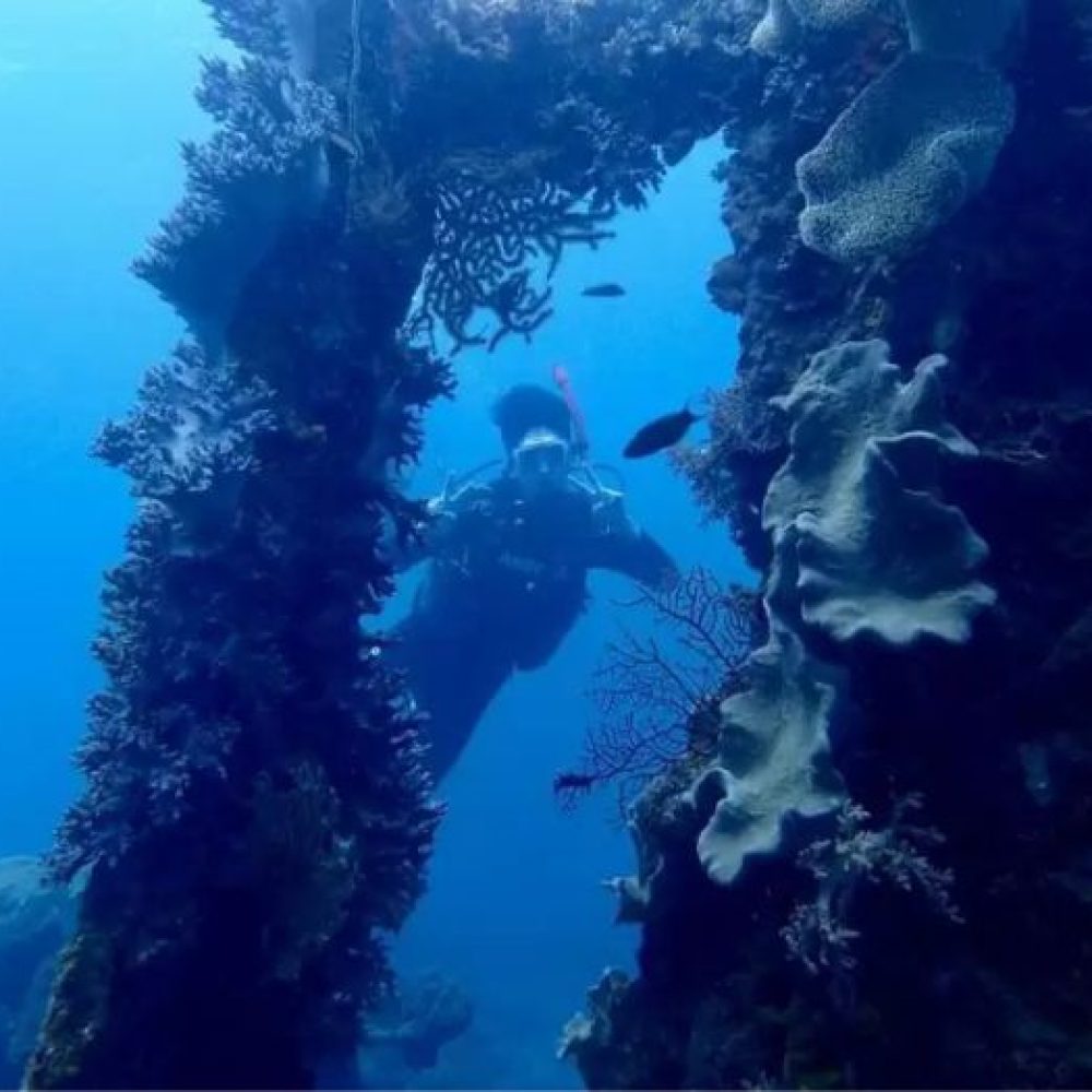 paket-diving-nautika-tour-travel-karimunjawa-2