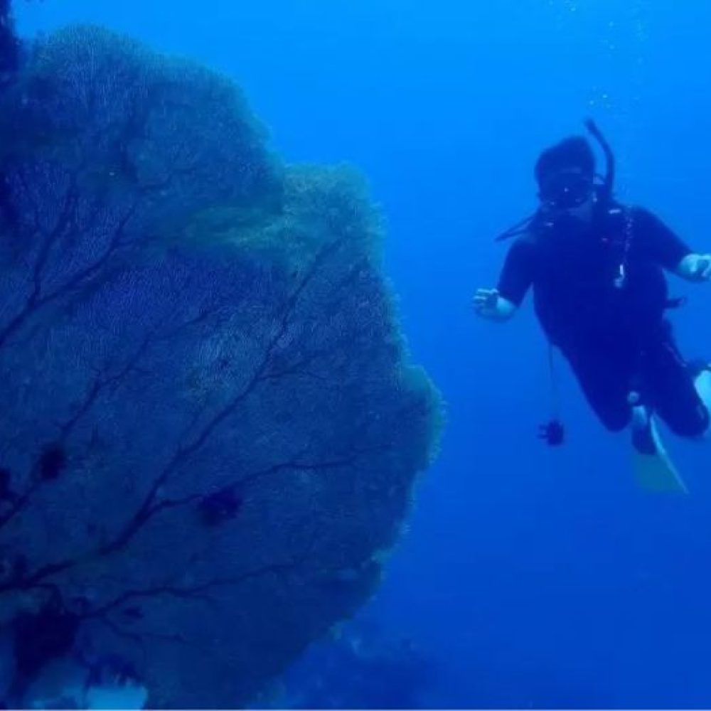 paket-diving-nautika-tour-travel-karimunjawa-3