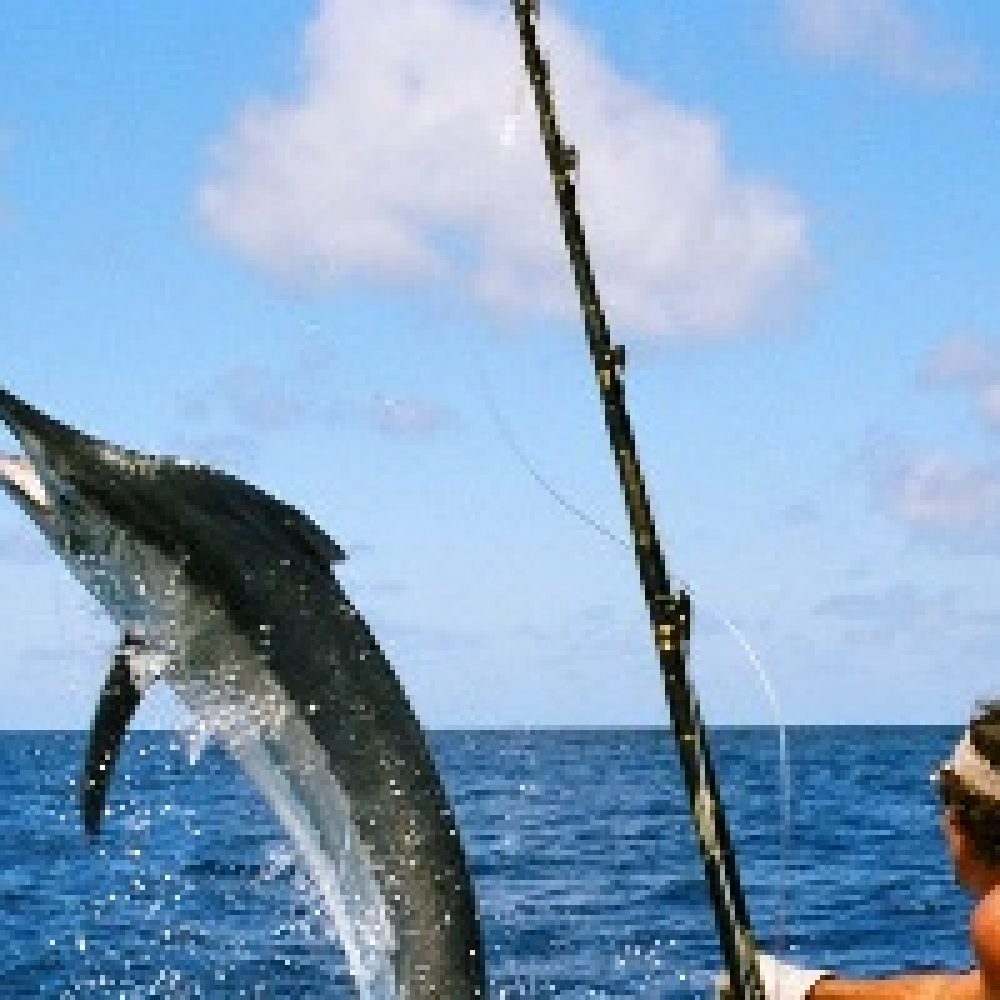 paket-mancing-karimunjawa